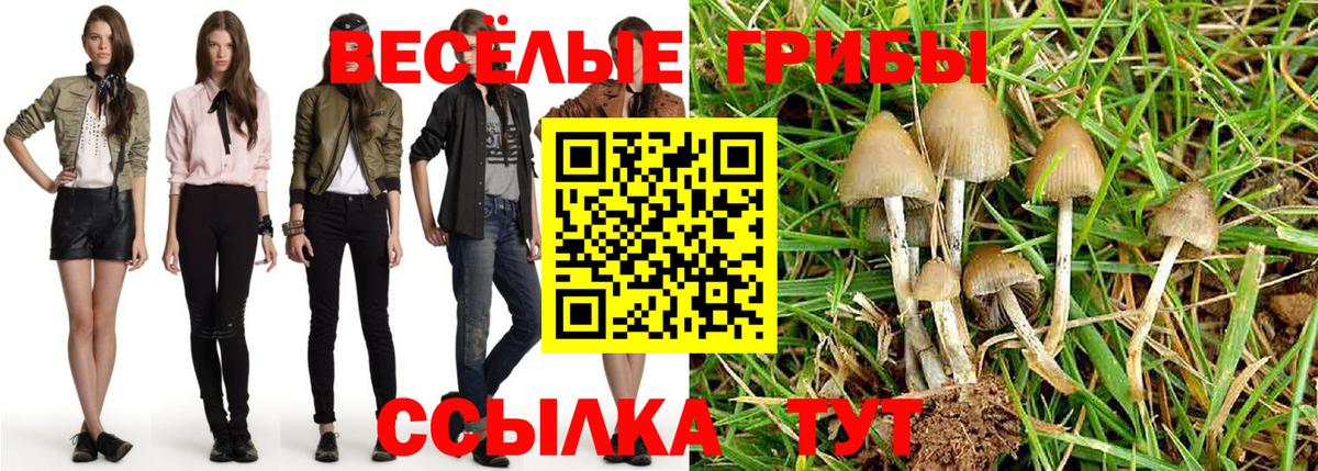 Псилоцибиновые грибы MAGIC MUSHROOMS  Вход с VPN  Псилоцибиновые грибы прущие грибы  Славгород 